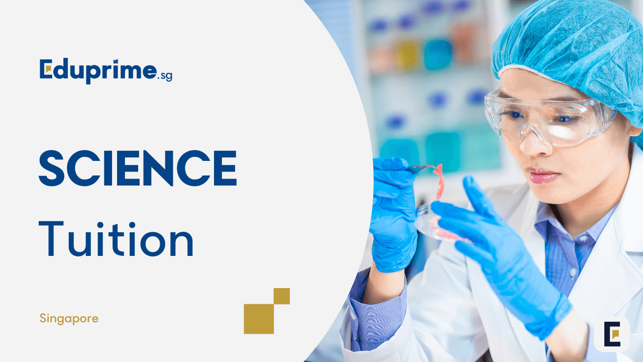 Image Science Tuition Singapore Eduprime