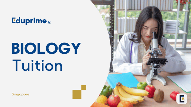 Image Biology Tuition in Singapore by Eduprime